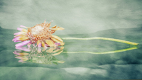 Fading